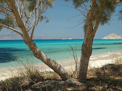 Palmos Self-Catering Apartment With Sea View Kastrákion المظهر الخارجي الصورة