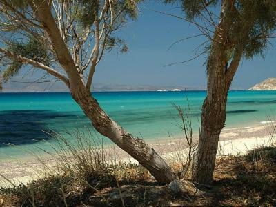 Palmos Self-Catering Apartment With Sea View Kastrákion المظهر الخارجي الصورة